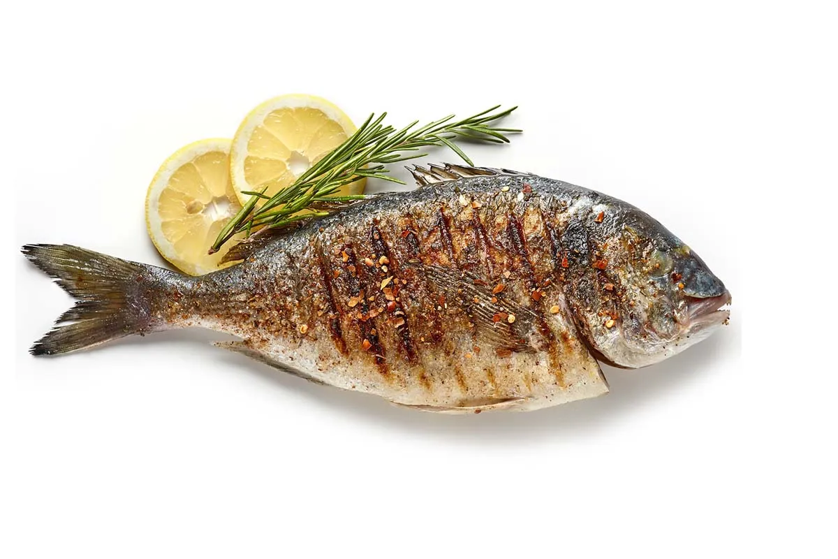 Fish