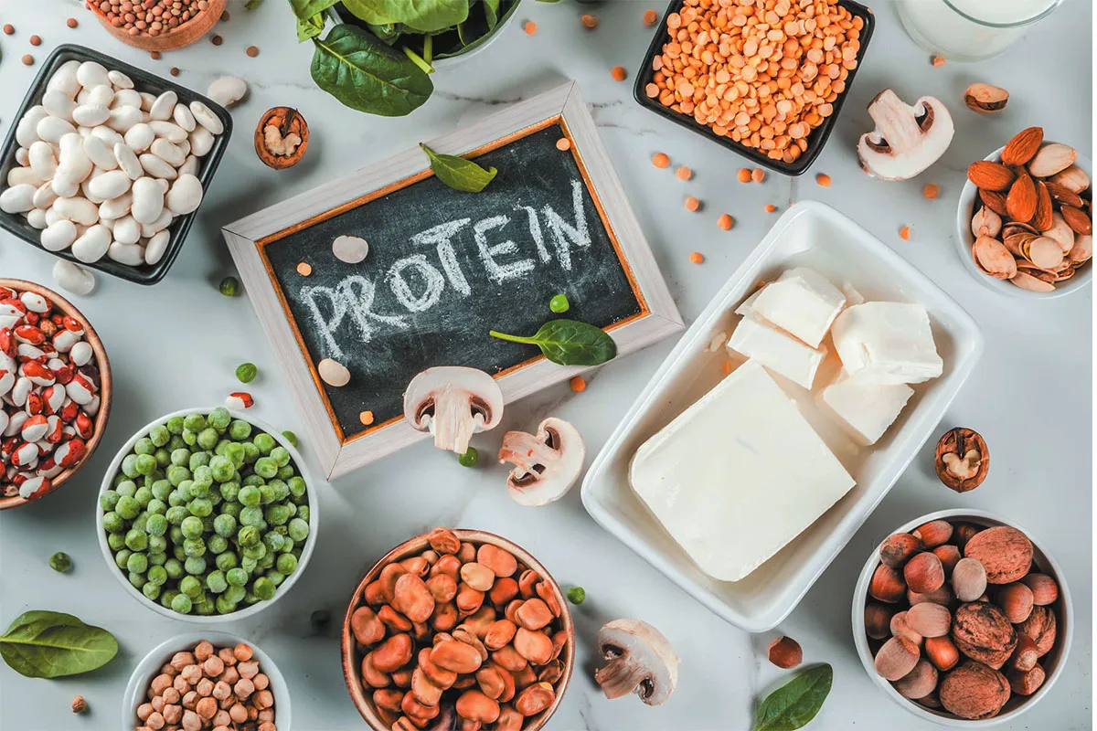Proteins