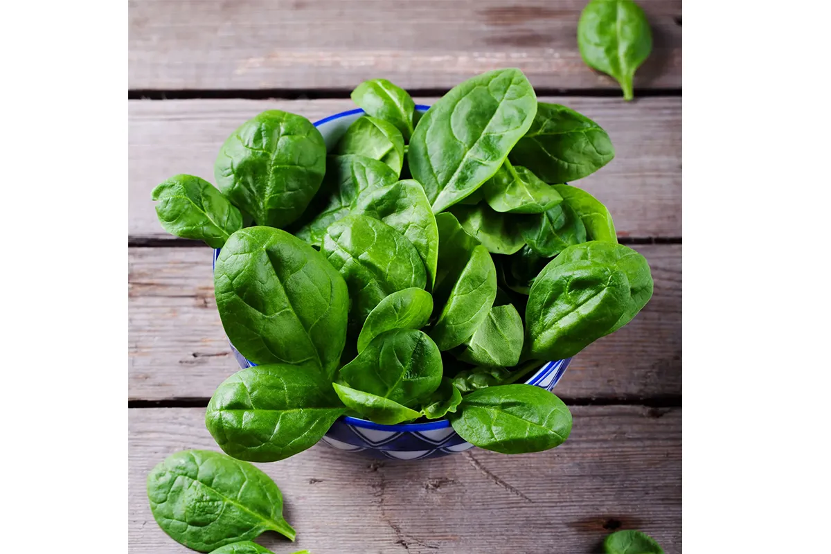 meal plan to lose weight vegan