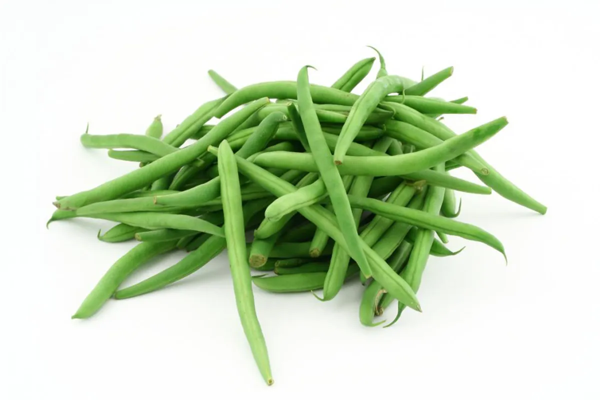 Beans