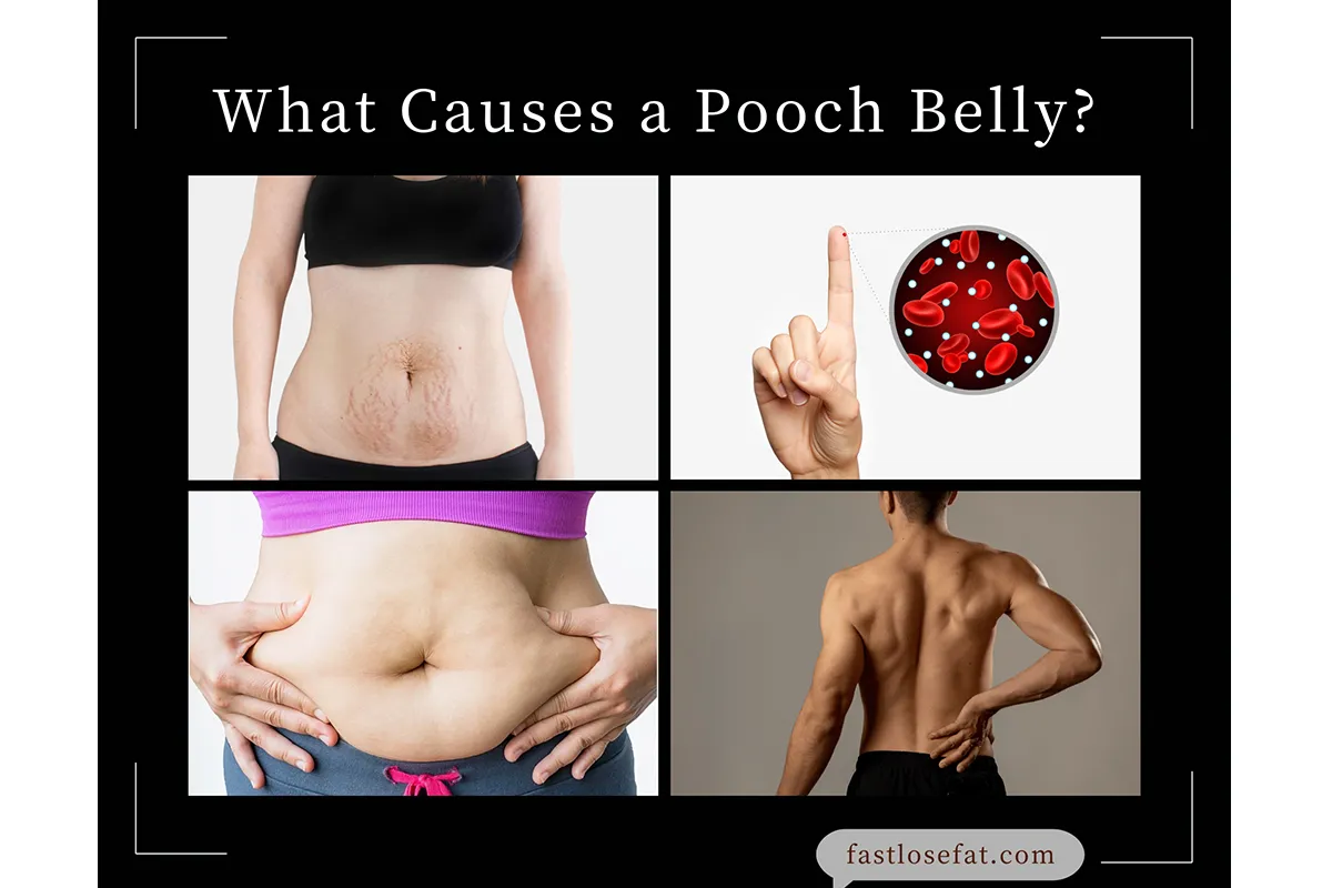 What Causes a Pooch Belly