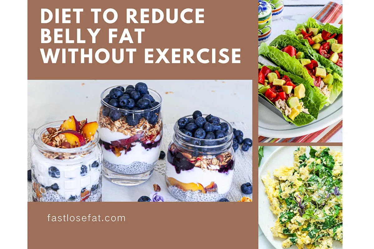 Diet to Reduce Belly Fat Without Exercise